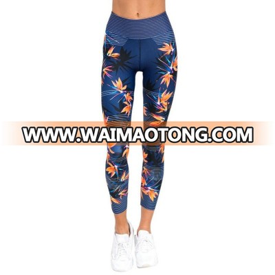 High Quality wholesale women sport gym fitness jogging yoga wear